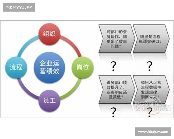 艾维娜面临的挑战及其可行解决方案分析与应对策略 艾维娜面临的挑战及其可行解决方案分析与应对策略